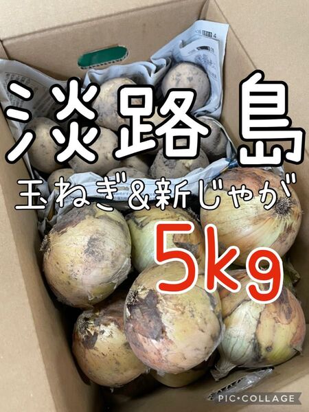 淡路島 新玉ねぎ & 新じゃが 5キロ 送料込み!農家直送!