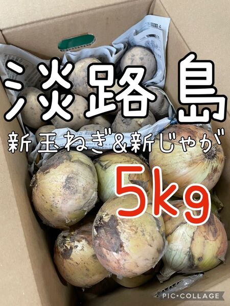 淡路島 新玉ねぎ & 新じゃが 5キロ 送料込み!農家直送!