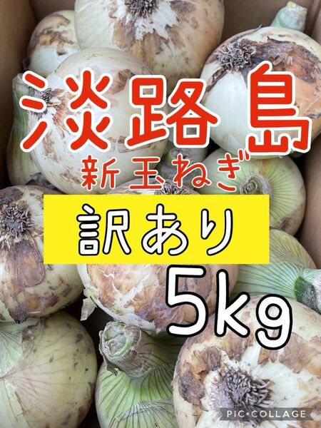 淡路島新玉ねぎ 訳あり 5キロ 送料込み!農家直送!