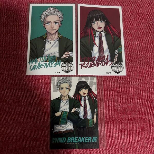 【新品】WIND BREAKER展 ウィンドブレイカー ウィンブレ展 入場特典 フォト風カード 梅宮 椿