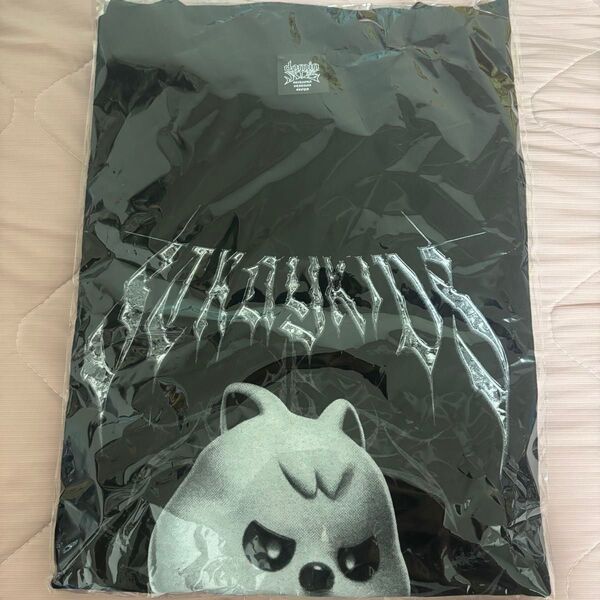 【新品未開封】ハンクオッカ ハン ハニ EVIL SKZOO Tシャツ stray kids dominATE ポップアップ