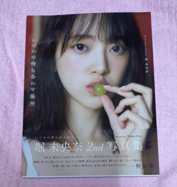 元乃木坂46 堀未央奈さん 2nd写真集