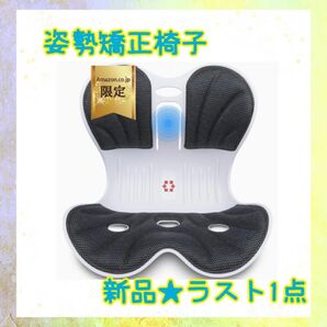 ★新品★大特価★ラスト1点 姿勢矯正椅子 高密度メモリーフォーム 腰痛対策 理学療法士推奨