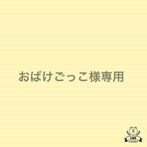 専用出品