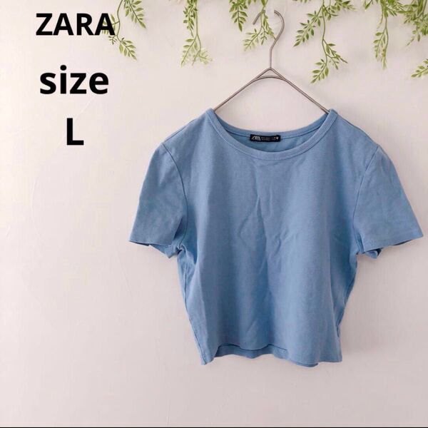 【ZARA】ザラ Tシャツ カットソー ショート丈 クロップド 半袖