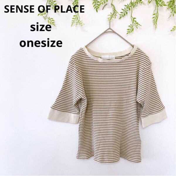 【SENSE OF PLACE】クルーネック ボーダーシャツ リブカットソー 半袖
