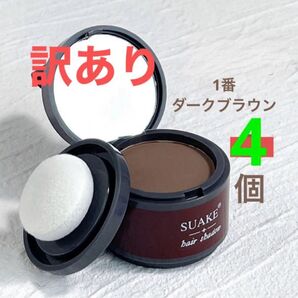 訳ありダークブラウンヘアシャドウ4個