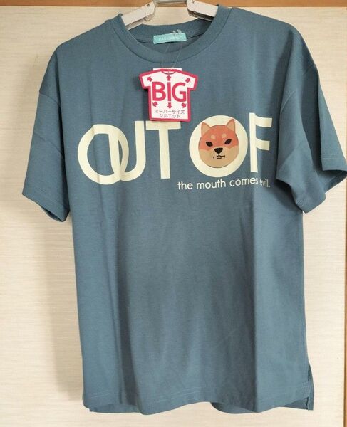 シバイヌ 半袖 Tシャツ 柴犬 オーバーサイズ キッズ120 130 140 150 新品