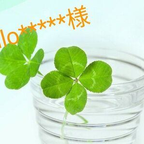 ilo*****様 ルシード お試し容量180ml 薬用 ボディウォッシュ 2点セット 新品未開封