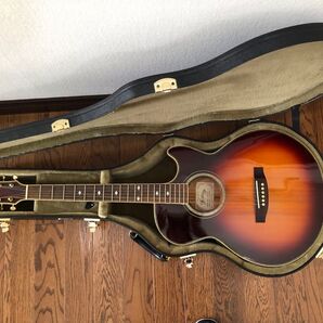 History ヒストリー アコースティックギター