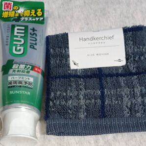 紳士 綿100% ハンカチタオル・ガム・プラス デンタルペースト ハーブミント