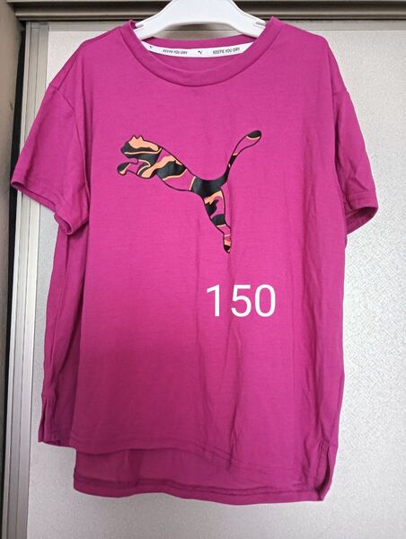 半袖Tシャツ 150 プーマ PUMA 紫 パープル サッカー スポーツ レディース S