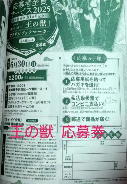 Cheese 7月号 王の獣 応募券 藤間麗 プレゼント応募用紙 応募 チーズ 全プレ