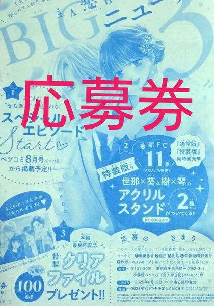主人恋日記 応募券 クリアファイル ベツコミ 応募