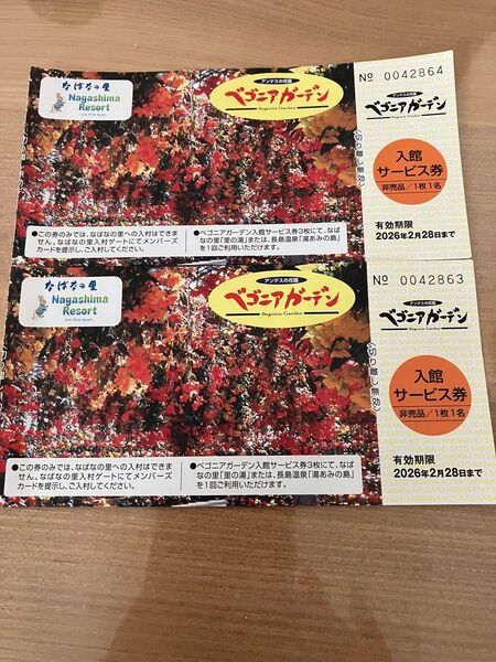 なばなの里 ベゴニアガーデン入館券2枚
