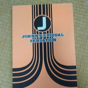 JOHNNY'S VISUAL SENSATION 紙袋 オレンジ