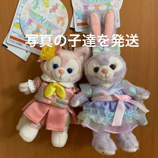 カラフルハピネス ぬいぐるみバッジ ステラルー リーナベル 新品 タグ付き ダッフィー &フレンズ 20周年 TDS
