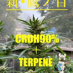 高濃度CRDHリキッド0.5ml CRDH90%+Alien OG10%