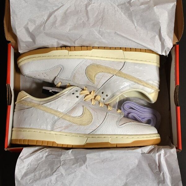 27cm Nike Dunk Low Retro QS City Pack Tokyo IB2259-001 US9