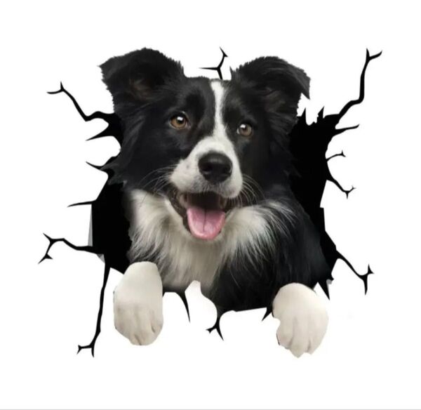 ボーダーコリー 黒 犬 カーステッカー 車用 ウォールステッカー 新品 自動車 シール 可愛い 3D おもしろ 車外アクセサリー