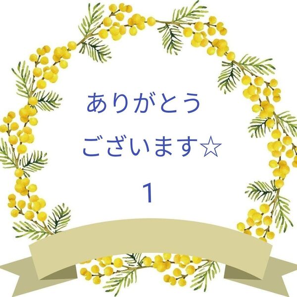 マユミ様ご依頼品です。 割れせんべい2袋
