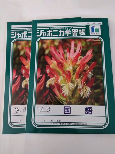 ジャポニカ学習帳 国語 12行 2冊セット