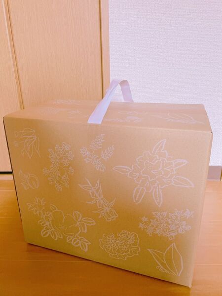 紙袋付き!六花亭 ポテチ ポテトチップス お菓子 スナック菓子 1箱 12袋入り