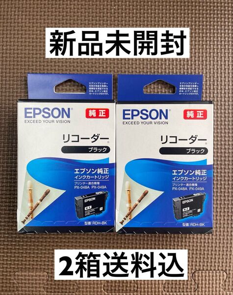 【リコーダー2本】EPSON ブラック純正インクカートリッジ RDH-BK PX-048A PX-049Aエプソン