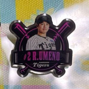 2025年度 阪神タイガース ファンクラブ応援デー シークレットピンズ (梅野選手)