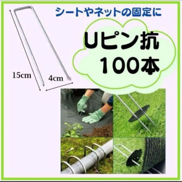 Uピン杭 15cm 大容量 防草シート ガーデニング 家庭菜園 園芸 板なし ピン