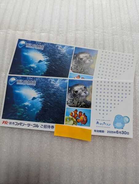新江ノ島水族館 ご招待券 2枚
