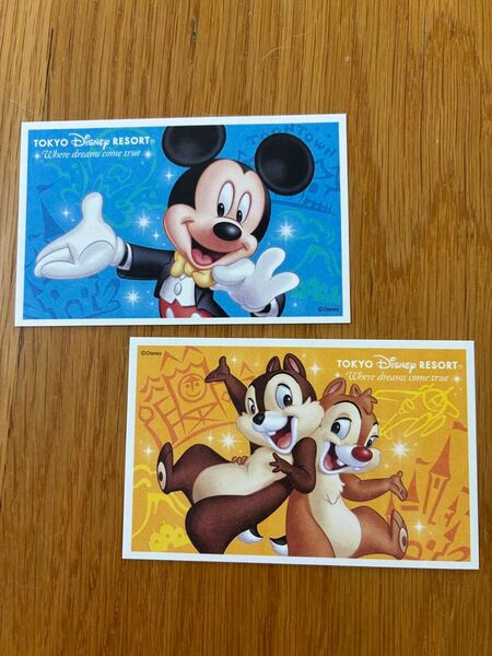 【2枚セット】ディズニースポンサーサポートチケット