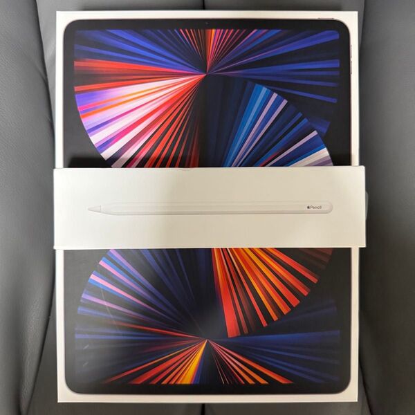 【美品】iPad Pro 12.9インチ スペースグレイ Cellularモデル + Apple Pencil 第2世代付き