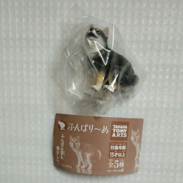 【内袋未開封】黒柴犬 ふんばり〜ぬ より1種 ガチャ ふんばりーぬ