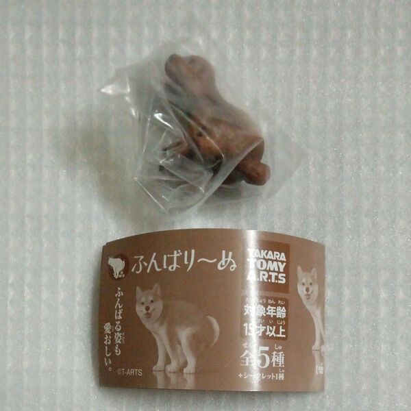 【内袋未開封】トイプードル ふんばり〜ぬ より1種 ガチャ ふんばりーぬ