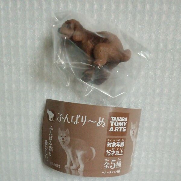 【内袋未開封】トイプードル ふんばり〜ぬ より1種 ガチャ ふんばりーぬ