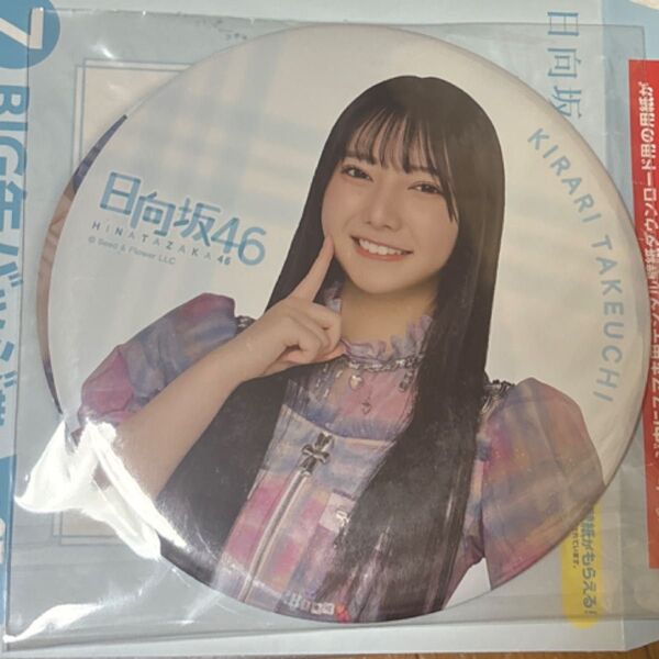 BIG缶バッジ 竹内希来里 日向坂46 缶バッジ 日向坂46くじ