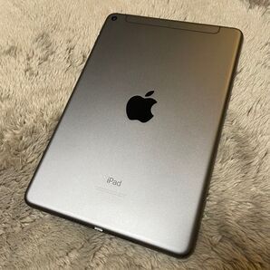 iPad mini 第5世代 64GB SIMフリー セルラーモデル Cellular