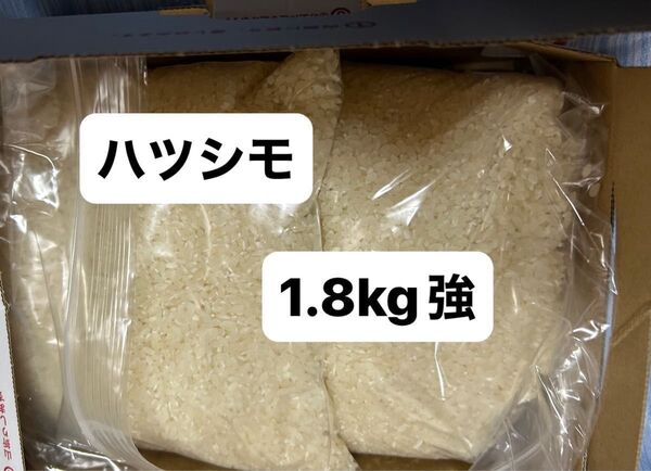 ◎岐阜県産ハツシモ 小分け1.8kg強 *値下げ不可