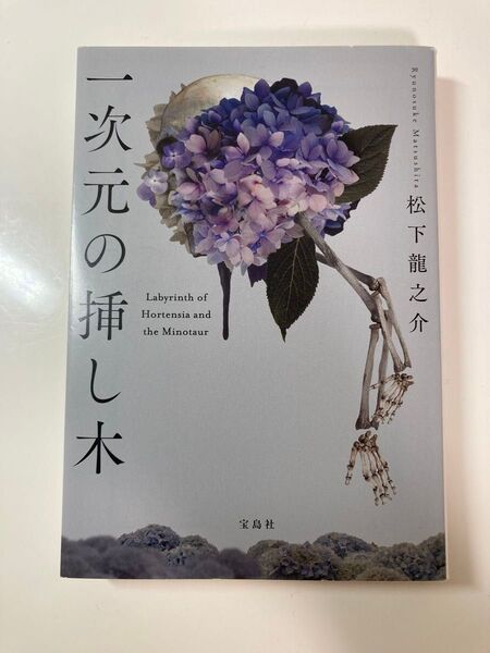 一次元の挿し木 (宝島社文庫 Cま-5-1 このミス大賞) 松下龍之介/著