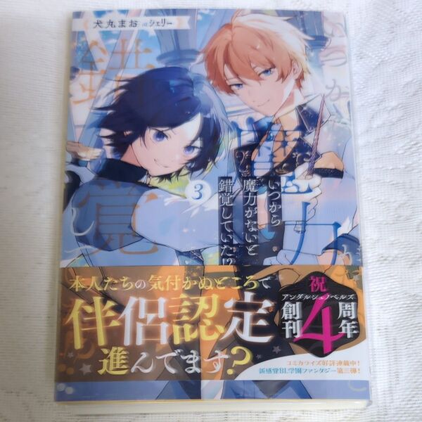 いつから魔力がないと錯覚していた!? 3 (b&arche NOVELS) 犬丸まお/〔著〕