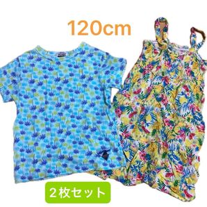 120cm夏服 2点セット トロピカル柄ワンピース ヤシの木柄Tシャツ