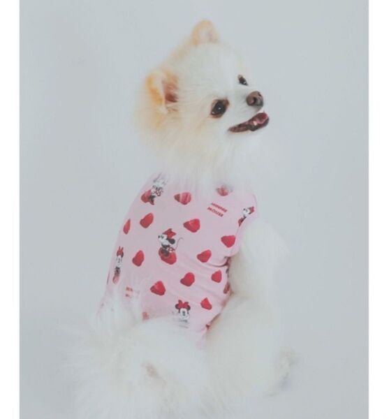 【新品】 ジェラートピケ「CAT&DOG」Minnie/COOLプルオーバー M