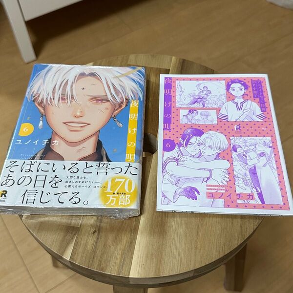 夜明けの唄 6巻 アニメイト特典付き