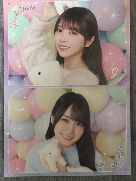 乃木坂46 与田祐希卒業コンサート 乃木モバ特典 A4応援ボード 賀喜遥香、一ノ瀬美空、中西アルノ、五百城茉央、池田瑛紗5枚セット