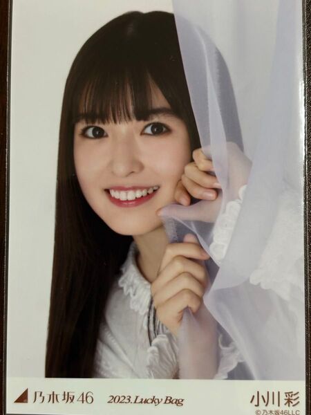 乃木坂46 小川彩 2023年 Lucky Bag 生写真ヨリ