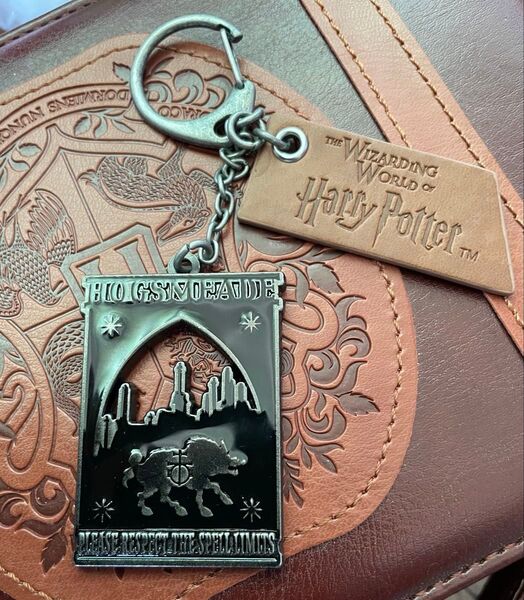 ユニバーサルスタジオジャパン USJ ハリーポッター ホグズミード村 看板 キーチェーン キーホルダー