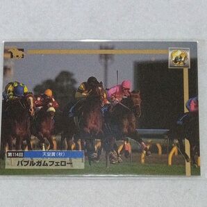 バブルガムフェロー サラブレッドカード 競馬 キャラクターカード トレーディングカード ウマ娘 うま娘