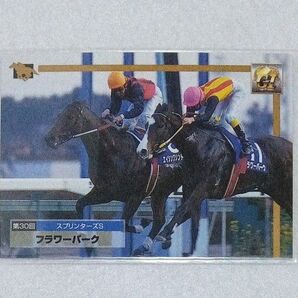 フラワーパーク サラブレッドカード 競馬 キャラクターカード トレーディングカード ウマ娘 うま娘