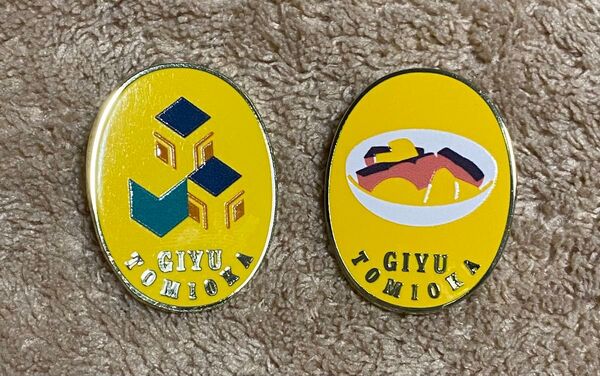 鬼滅の刃 柱展 コレクションピンズ バッジ 冨岡義勇 鮭大根 羽織 カテゴリー変更 カテ変
